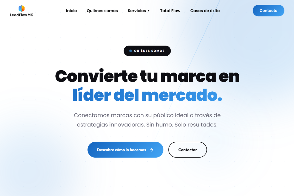LeadFlow MK - Web Design
